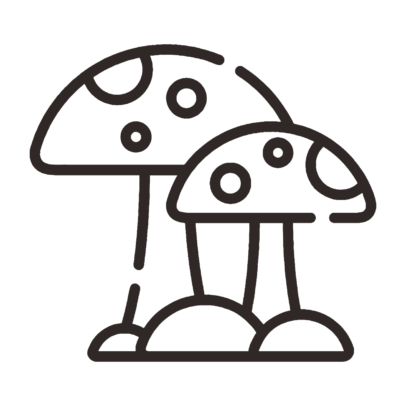 Medicinal Mushrooms