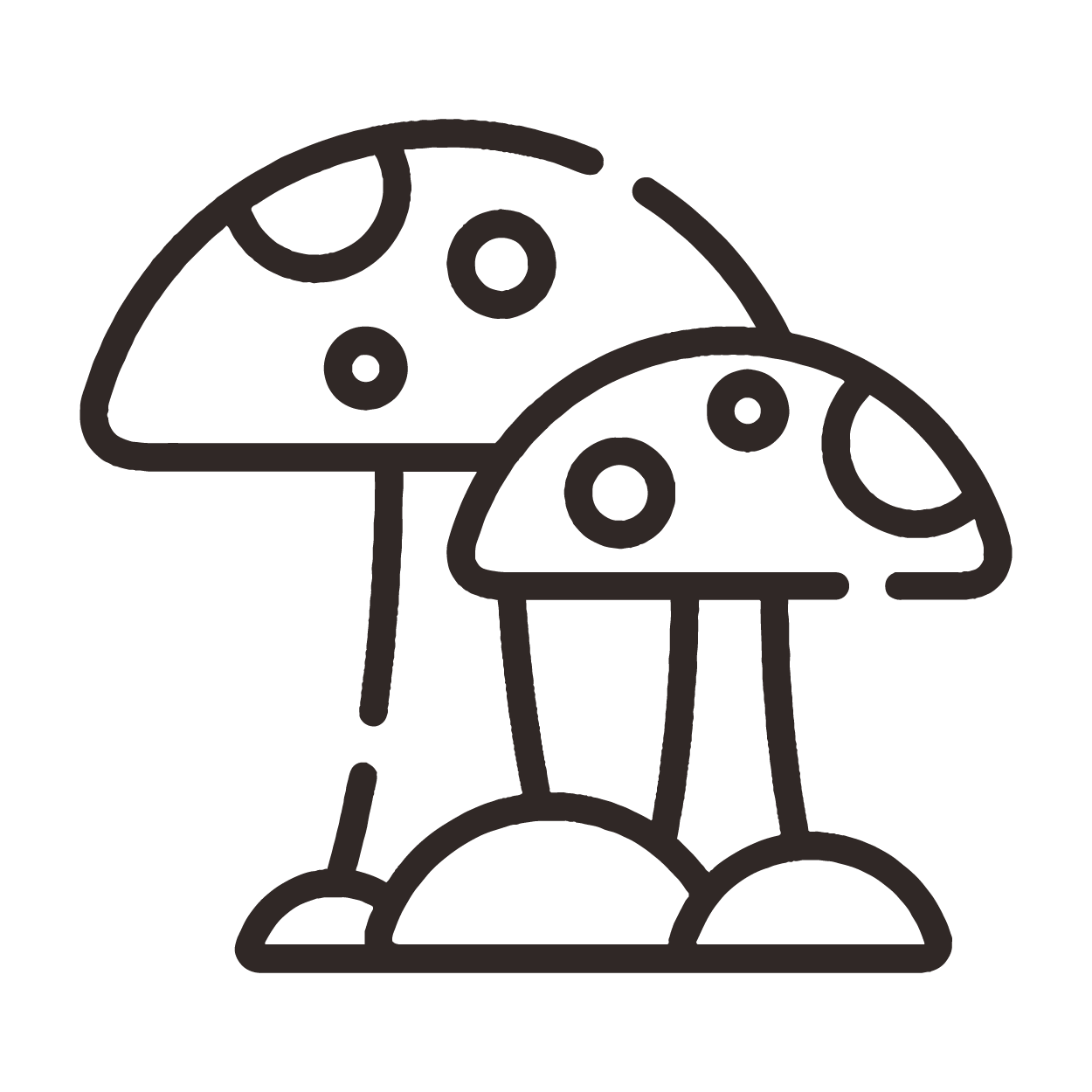Medicinal Mushrooms